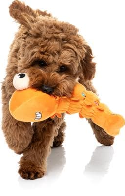 FuzzYard Holiday Dog Toy – Shelvis Presley