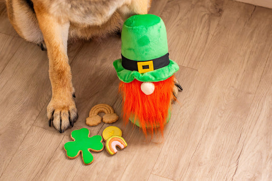 St. Patrick's Day Hide a Ball Gnome Dog Toy