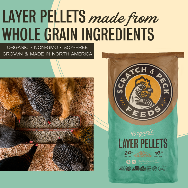 Scratch and Peck Organic Chicken & Duck 16% Layer Pellet With Grub Protein - 35-lbs
