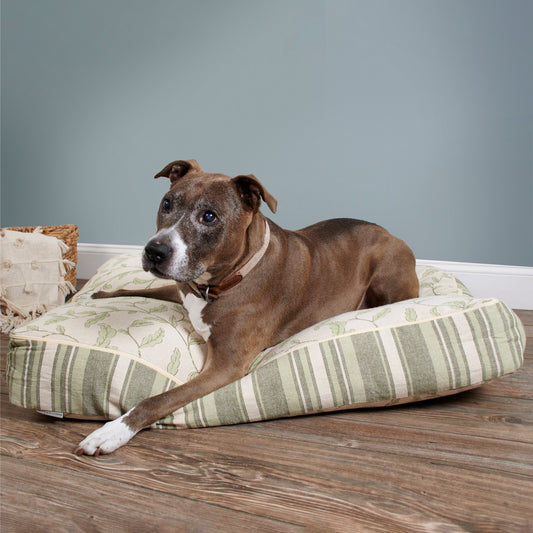 Primitives by Kathy X-Large Green Botanical Dog Bed