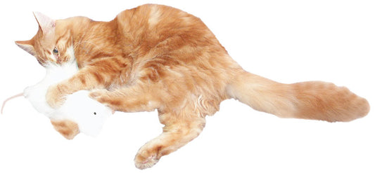 Imperial Cat Cat N` Around Pouncy Mouse Catnip Toy