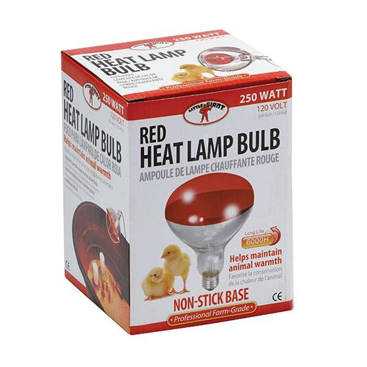 Little Giant Red Heat Lamp Bulb - 250 watts