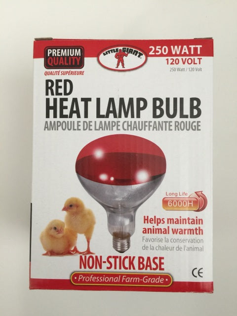 Little Giant Red Heat Lamp Bulb - 250 watts