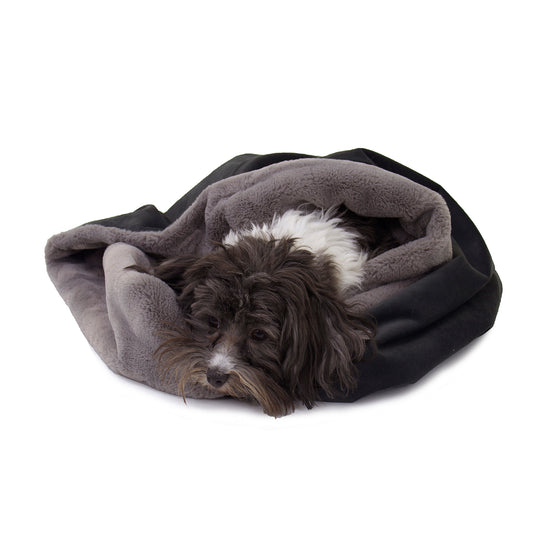 Carolina Pet Company Transforming Converting Dog and Cat Bed - Charcoal