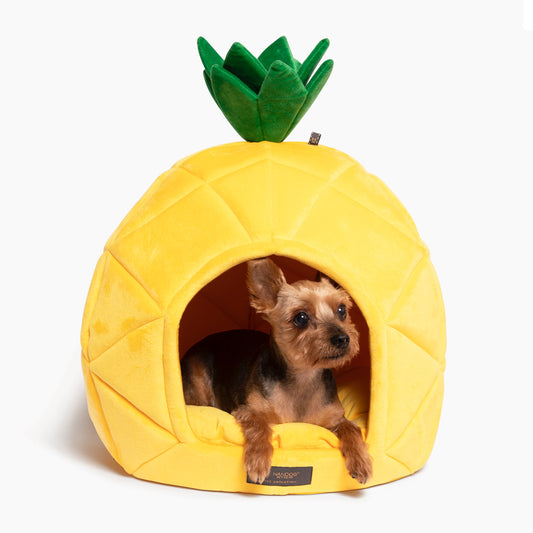 Nandog Pineapple Shape Micro Flees Pet Bed - Large