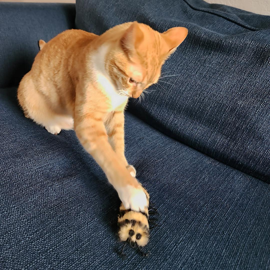 Go Cat Da Cat-A-Pila Wand Attachment Cat Toy