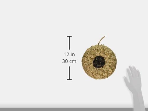 Pine Tree Farms 1363 Sunflower Shaped Seed Wreath - 3 Pounds