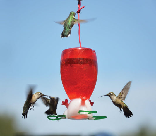 Songbird Essentials SE952 Big Red Hummingbird Feeder (Set of 1)