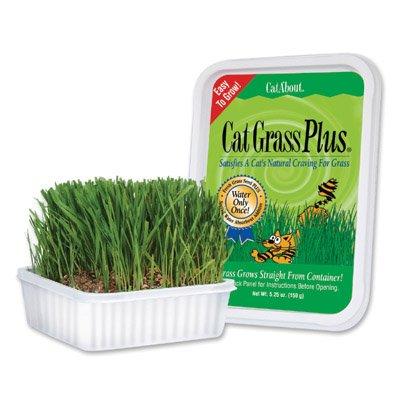 Gimborn Redi Cat Grass Plus - 5.25oz