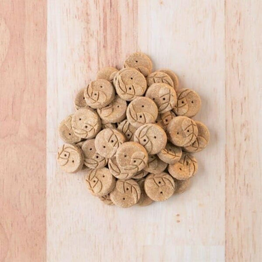 Earthborn Holistic EarthBites Salmon & Pumpkin Grain-Free Crunchy Dog Treats - 10 oz