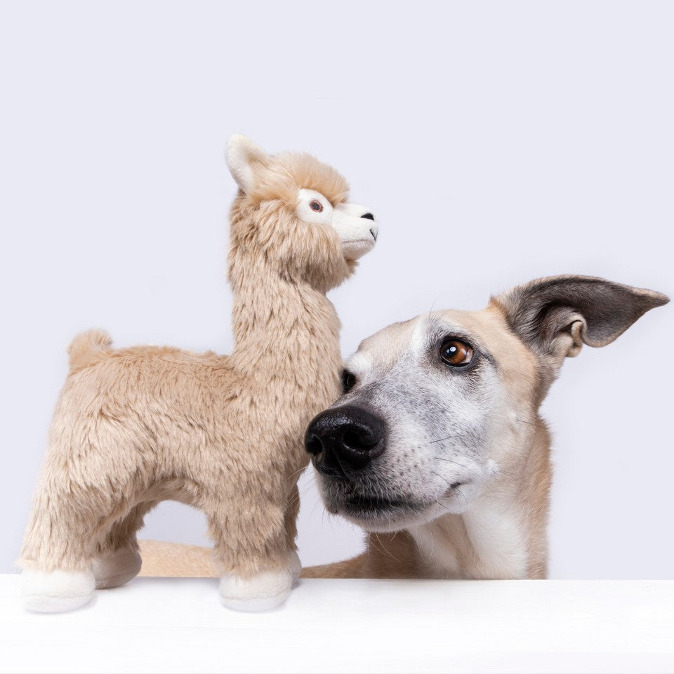 Fluff & Tuff Inca Alpaca Plush Dog Toy - 11"