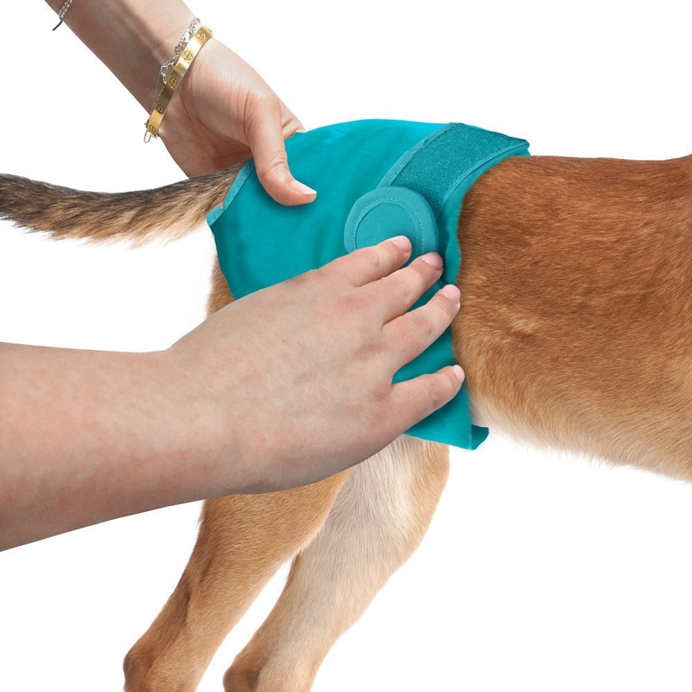 Simple Solution Washable Male Dog Wrap Diapers - (Small)