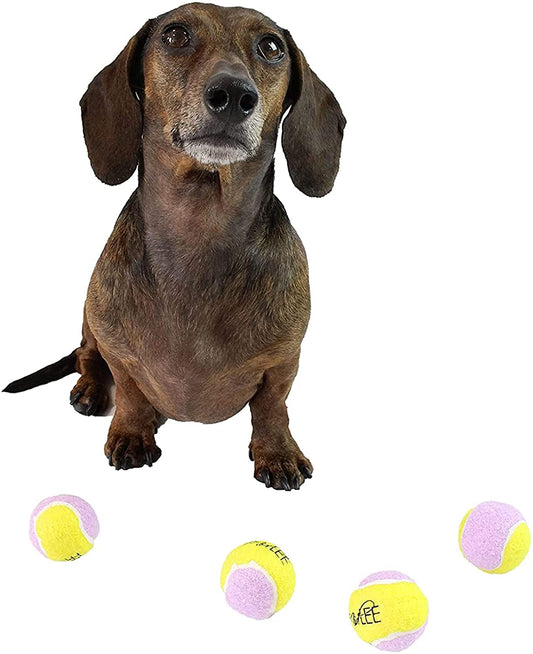 Midlee Small Dog Tennis Ball- Yellow/Lavender- Set of 12
