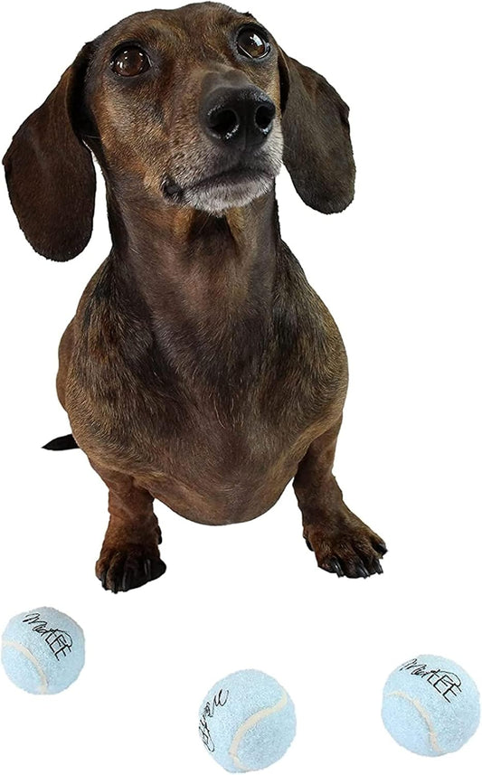 Midlee 1.5" Mini Squeaky Tennis Ball Set of 12 Blue