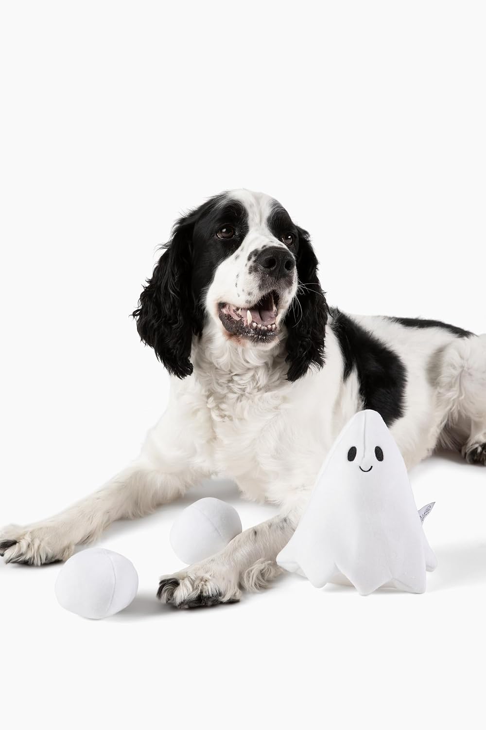 Midlee Hide a Ball Halloween Ghost Dog Toy