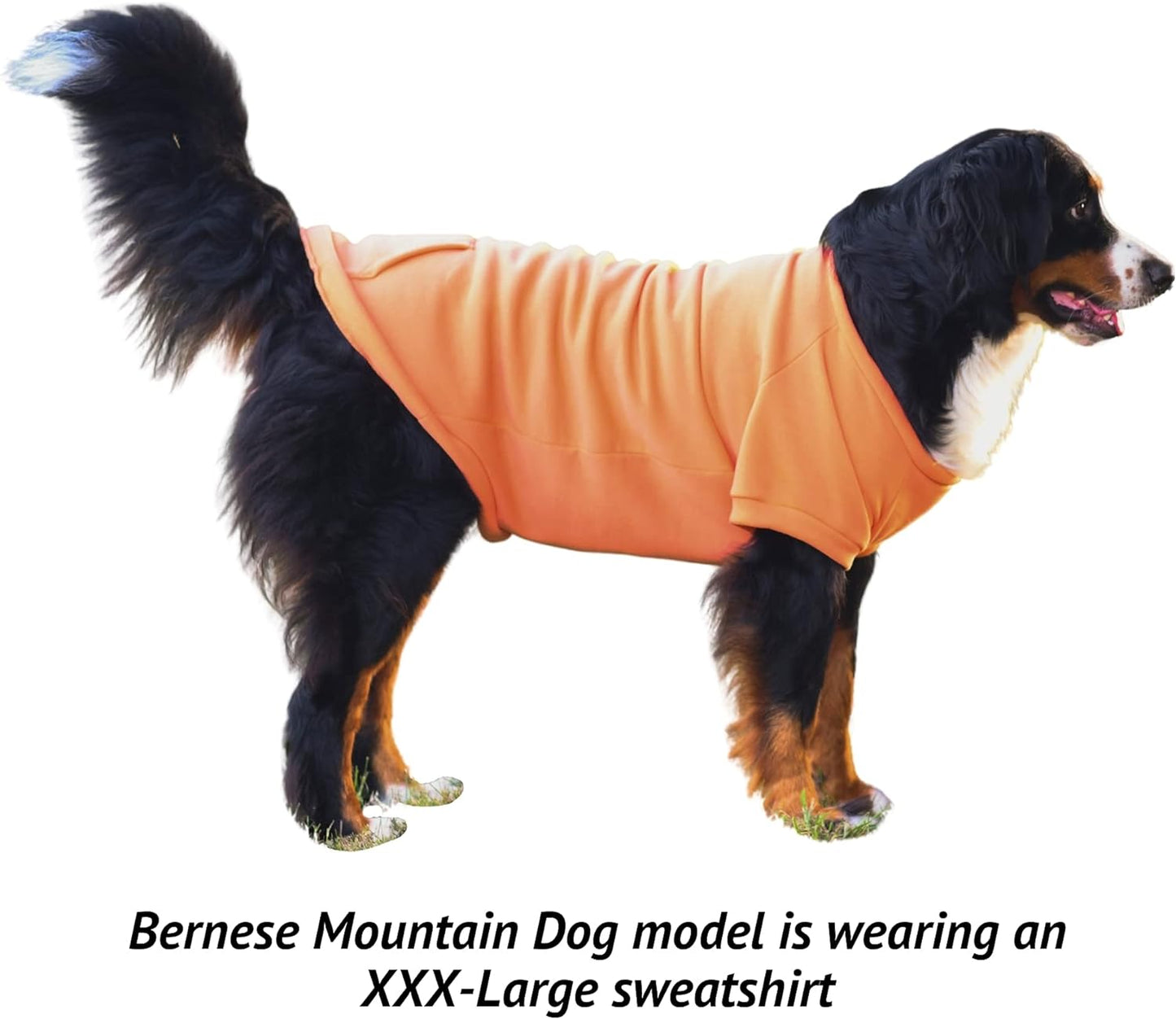 Midlee Coral Dog Sweatshirt