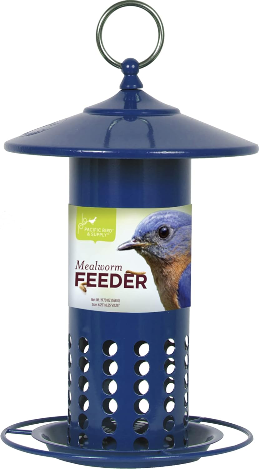 Pacific Bird & Supply CO Galvanized Steel Mealworm Feeder - Blue (11.25")