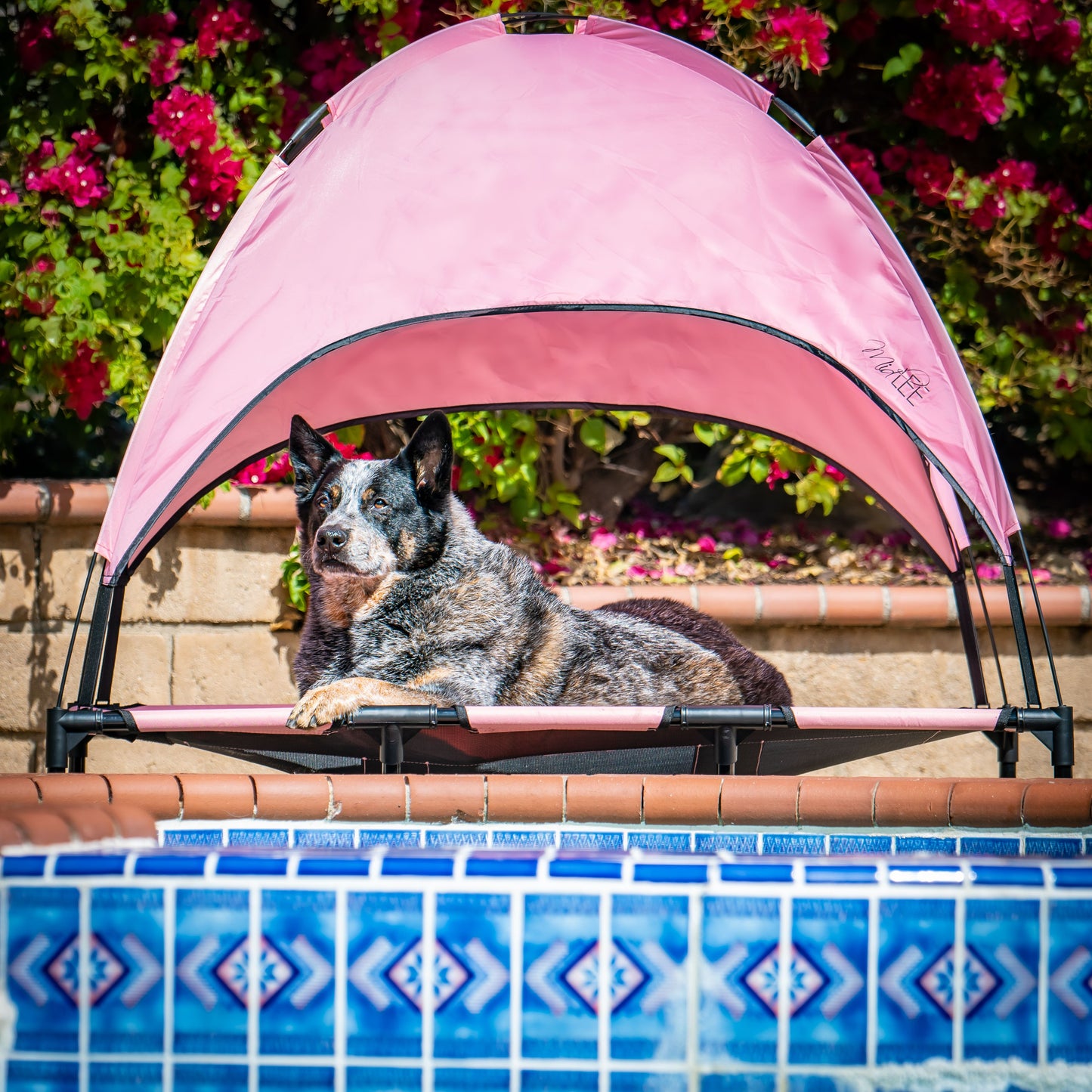 Midlee Pink Dog Cot Canopy