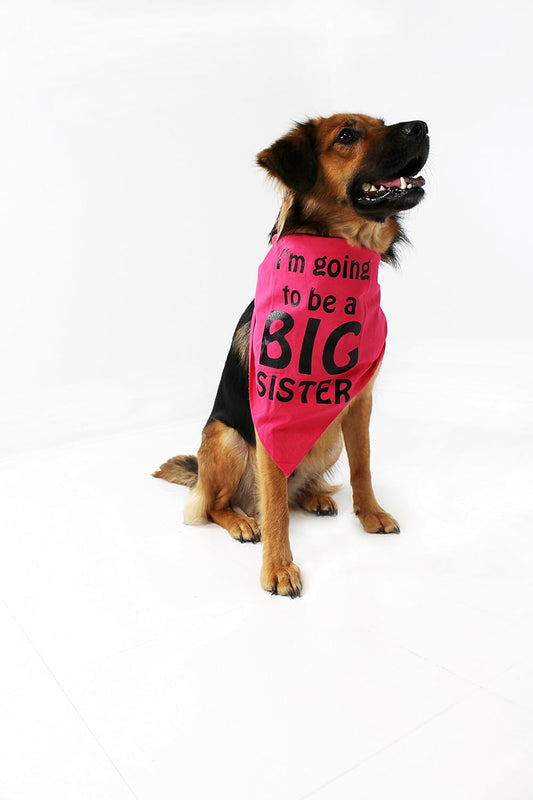 Midlee I'm Going to be a Big Sister Dog Bandana