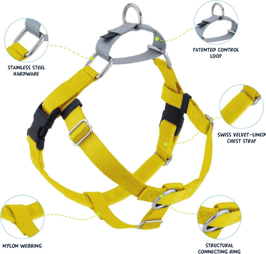 2 Hounds Design Freedom No Pull Dog Harness | Comfortable Control for Easy Walking |Adjustable Dog Harness and Leash Set | Small, Medium & Large Dogs | Made in USA | Solid Colors | 1" XL Yellow