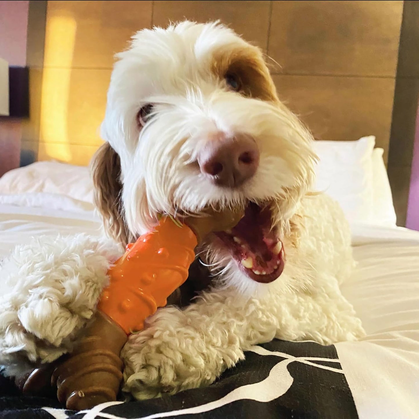 ETHICAL/SPOT Bam-Bone Dental Bone Peanut Butter Flavor Chew Toy - 6"