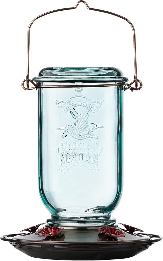More Birds Clear Mason Jar Glass Hummingbird Feeder - 25 Ounces