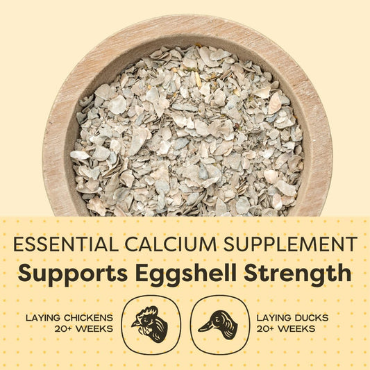 Scratch and Peck Feeds Cluckin Good Organic Ground Oyster Shell for Chickens and Ducks - 4 lbs
