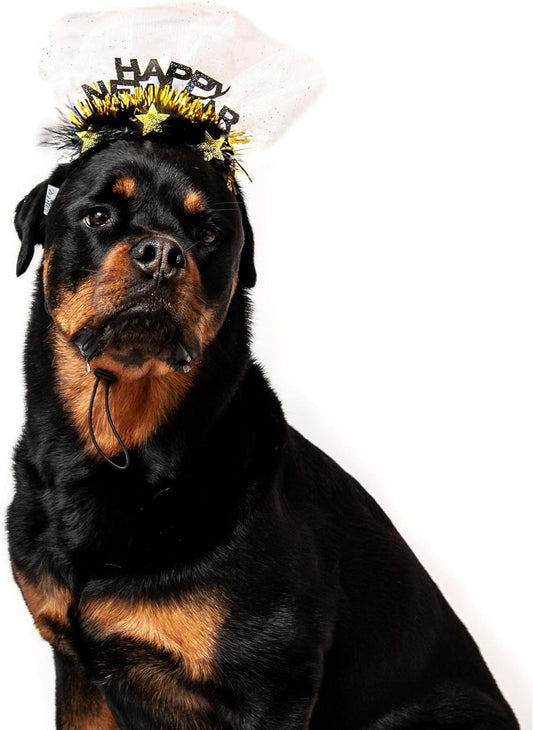 Midlee Happy New Year Dog Headband