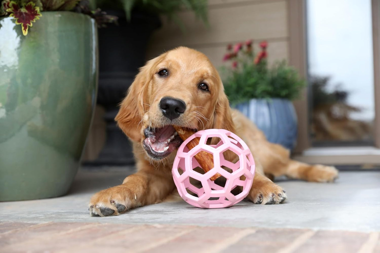 JW Pet Hol-ee Roller Rubber Dog Toy - Large(5.5" Diameter) Pink