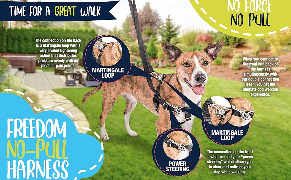 2 Hounds Design Freedom No Pull Dog Harness | Adjustable Gentle Comfortable Control for Easy Dog Walking |for Small Medium and Large Dogs | Made in USA | Leash Included | 5/8" SM Royal Blue