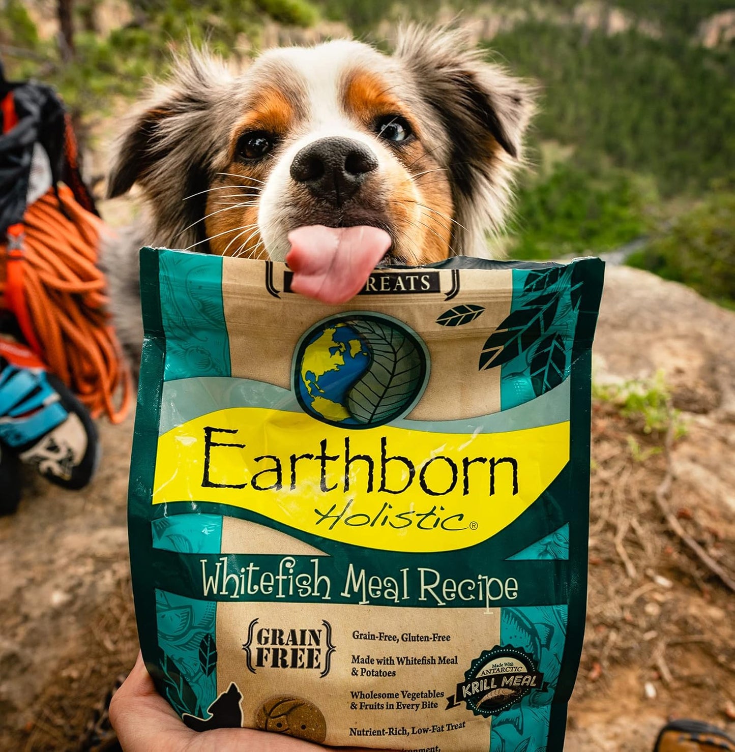 Earthborn Holistic Lamb Meal Recipe Grain-Free Oven Baked Biscuits Dog Treats -14 oz