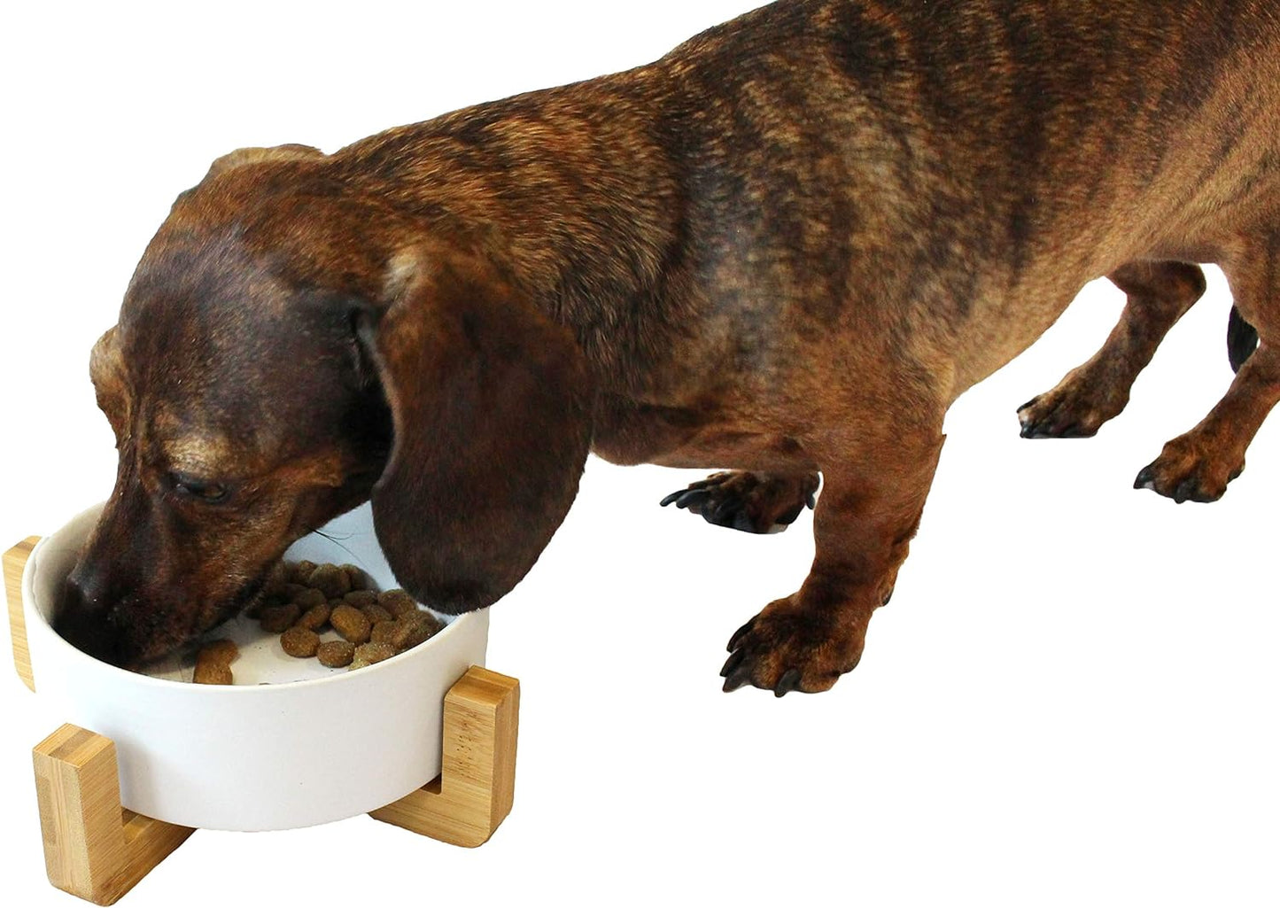 Midlee Modern Raised Pet Bowl on Stand (Single, White - Small)