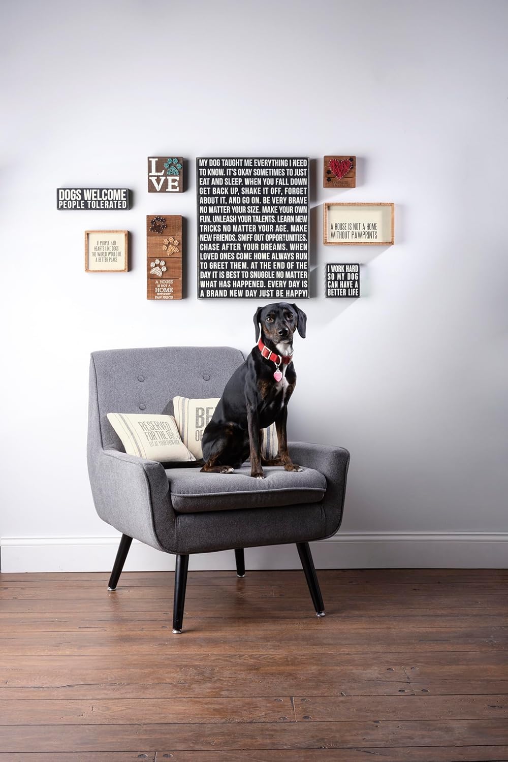 Primitives by Kathy Reserved For The Dog Pillow - 10" x 10"