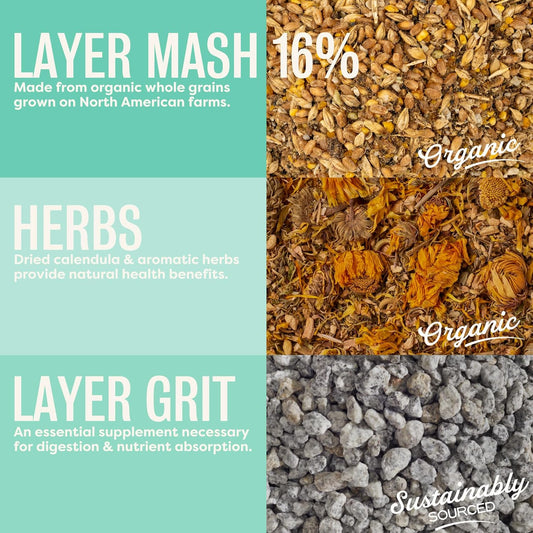 Scratch and Peck Feeds Cluckin Good Organic 3 Grain Scratch Chickens and Ducks Feed - 10 lbs