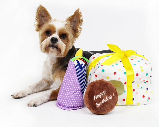 Midlee Birthday Present Find a Toy Dog Toy