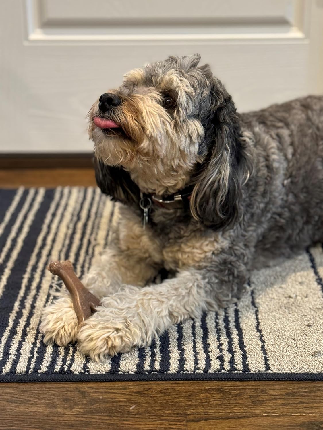 ETHICAL/SPOT Bam-Bone Wishbone Chicken Flavor Chew Toy - 5.25"