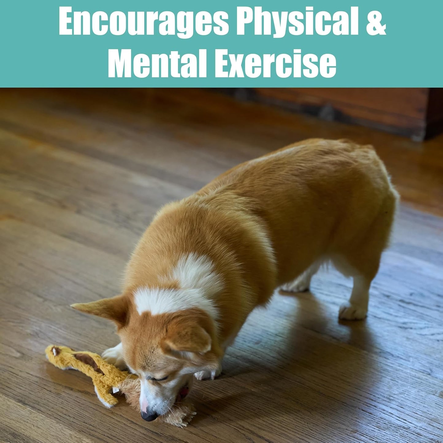 Spot Skinneeez Plush Squirrel Dog Toy-14"