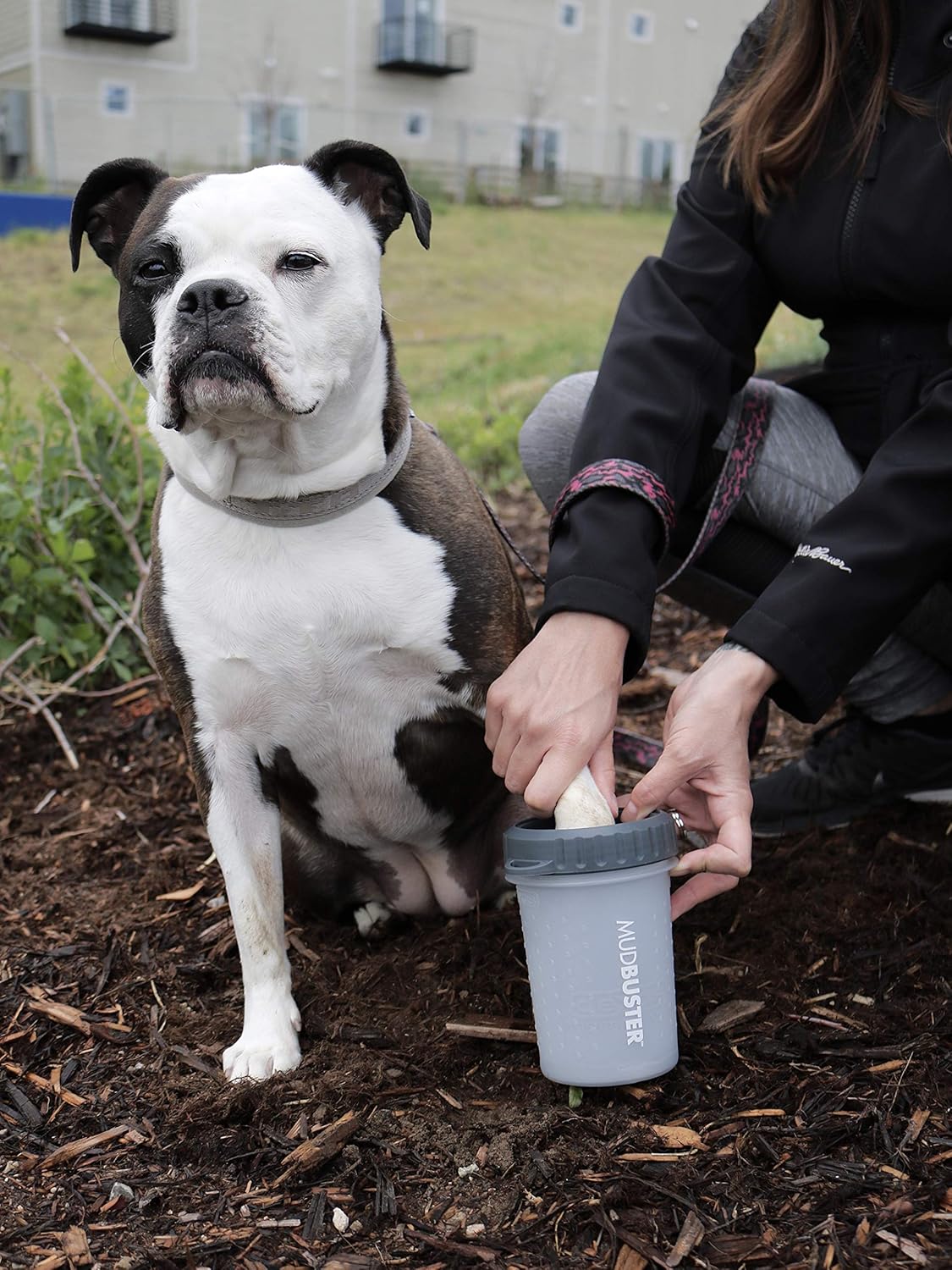 Dexas Lidded MudBuster Portable Dog Paw Cleaner - Medium with Lid (Light Gray) upc ends in 30888