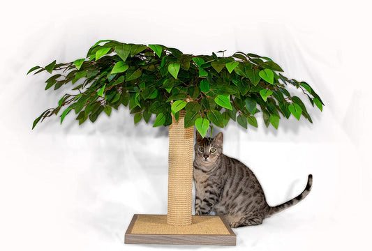 Midlee Tree Decorative Cat Scratcher Realistic Cat Scratcher Furniture Post