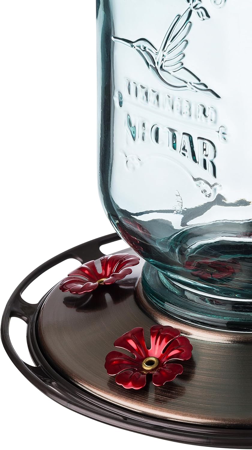 More Birds Clear Mason Jar Glass Hummingbird Feeder - 25 Ounces