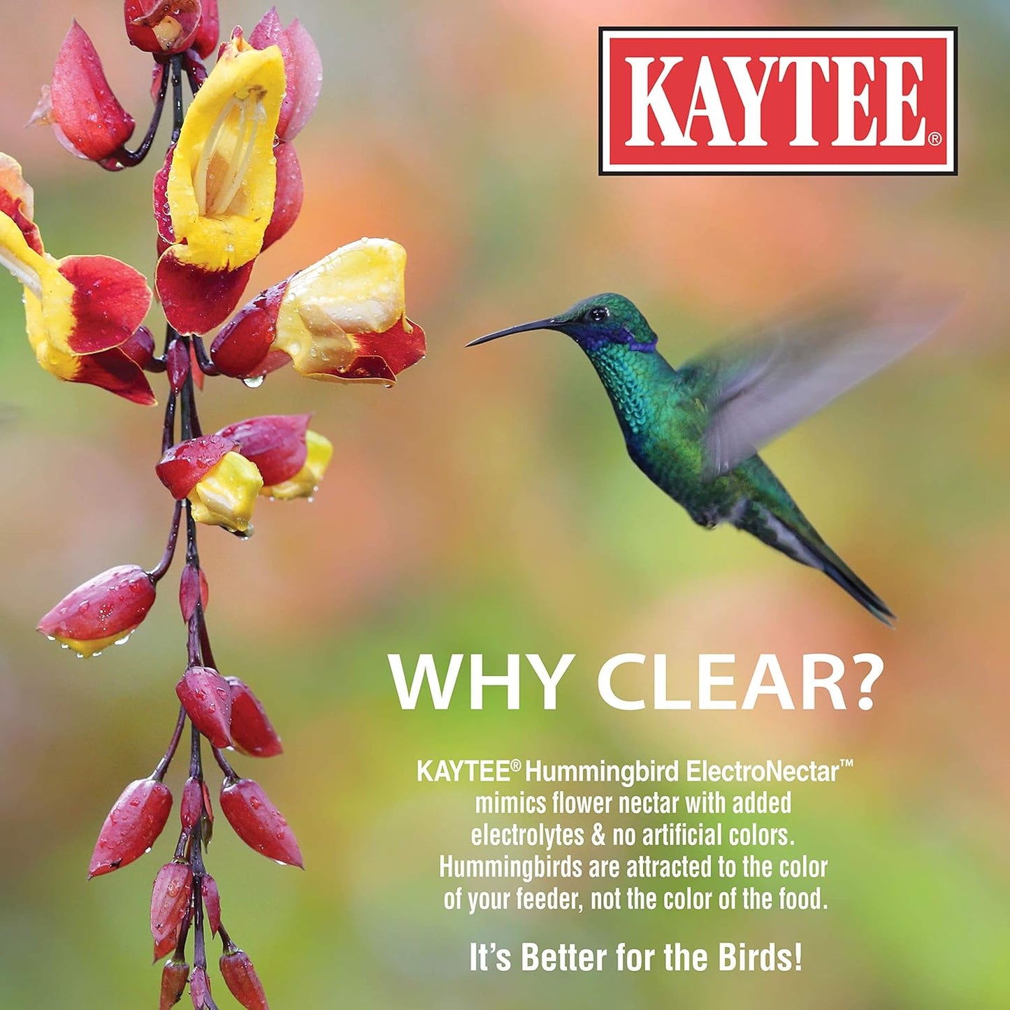 Kaytee Hummingbird Electro Nectar Concentrate, 16-Ounce Two Bottles