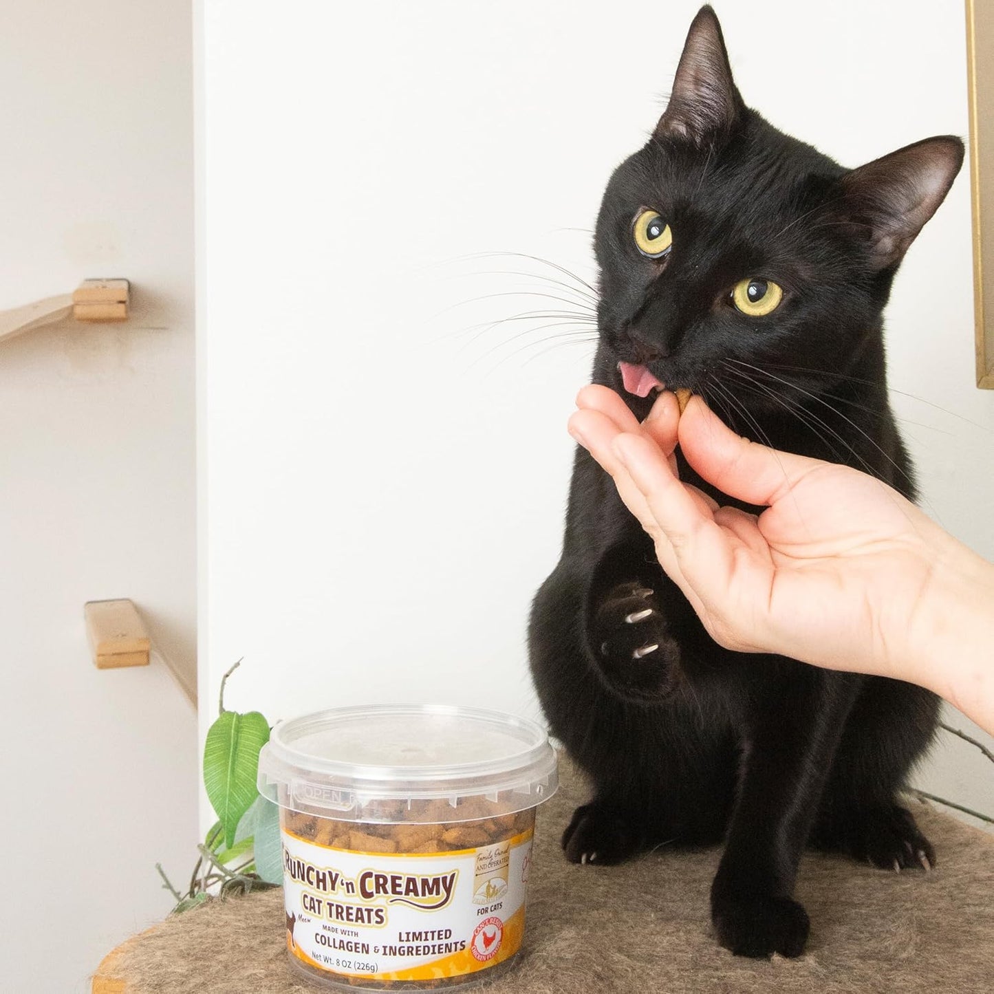 Fieldcrest Farms Nothin’ to Hide Collagen Cat Treats – Crunchy & Creamy Cat Snacks, Chicken Flavor, 8oz Tub.