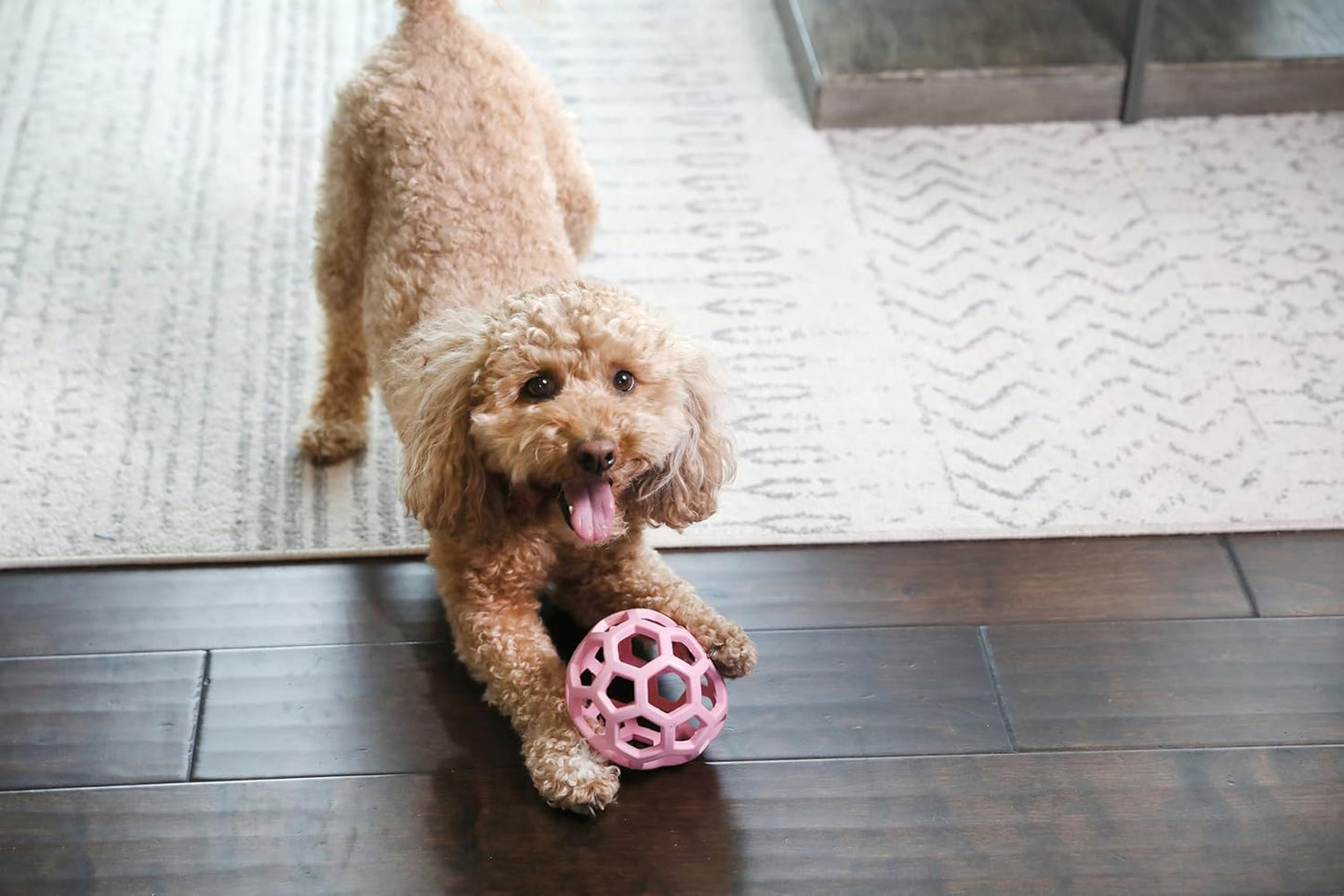 JW Pet Hol-ee Roller Rubber Dog Toy - Small (3" Diameter) Pink