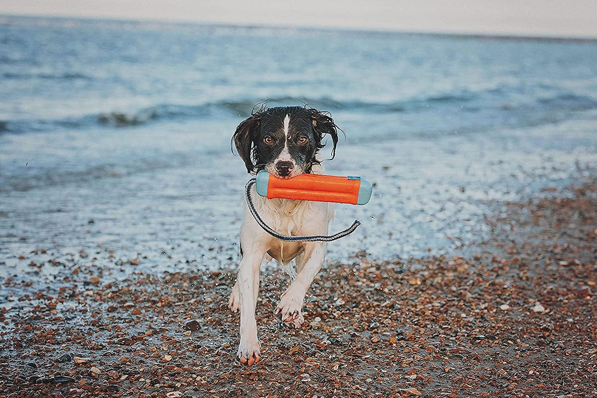 Chuckit Amphibious Bumper Fetch and Float Dog Toy, Medium (Assorted Colors)-2 Pack
