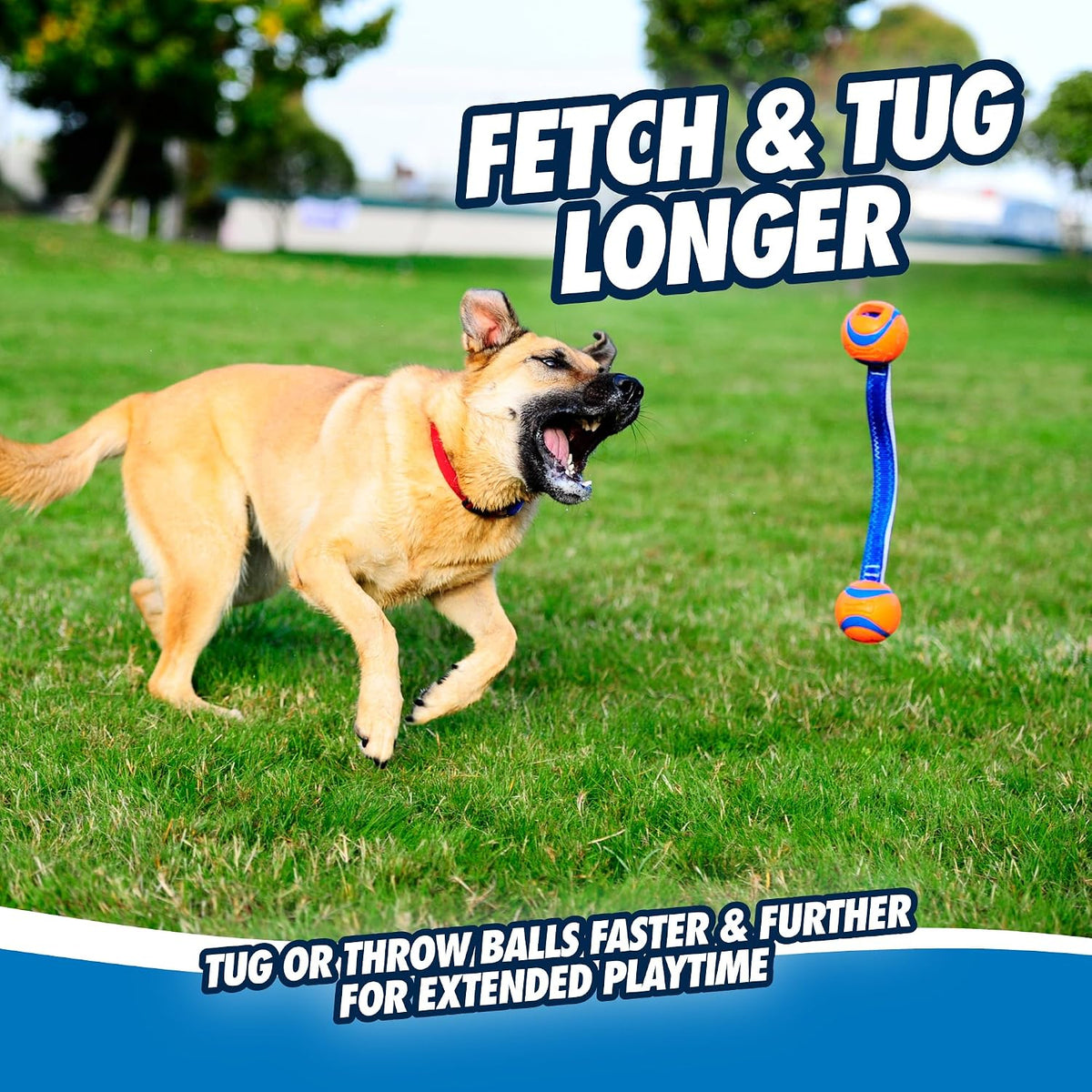 Chuckit Chuckit Ultra Duo Tug - Medium (2.25")