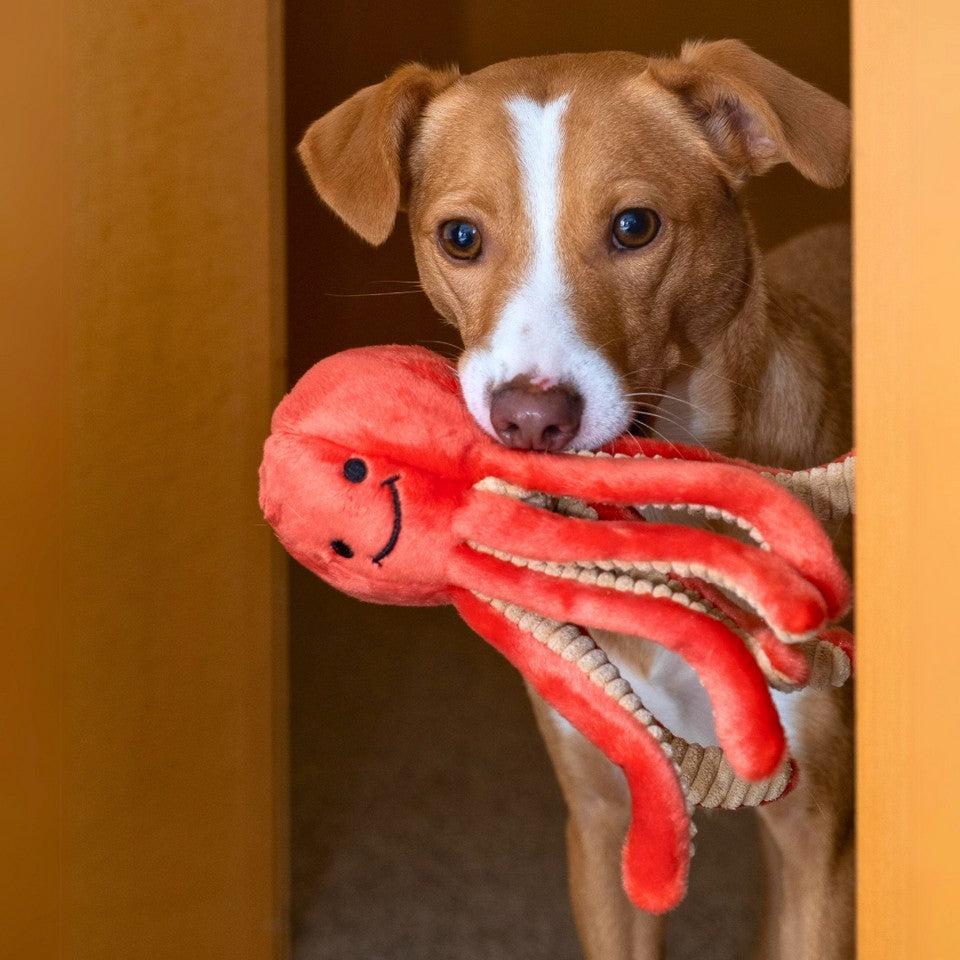 Fluff & Tuff Squirt Octopus Plush Dog Toy - 8"