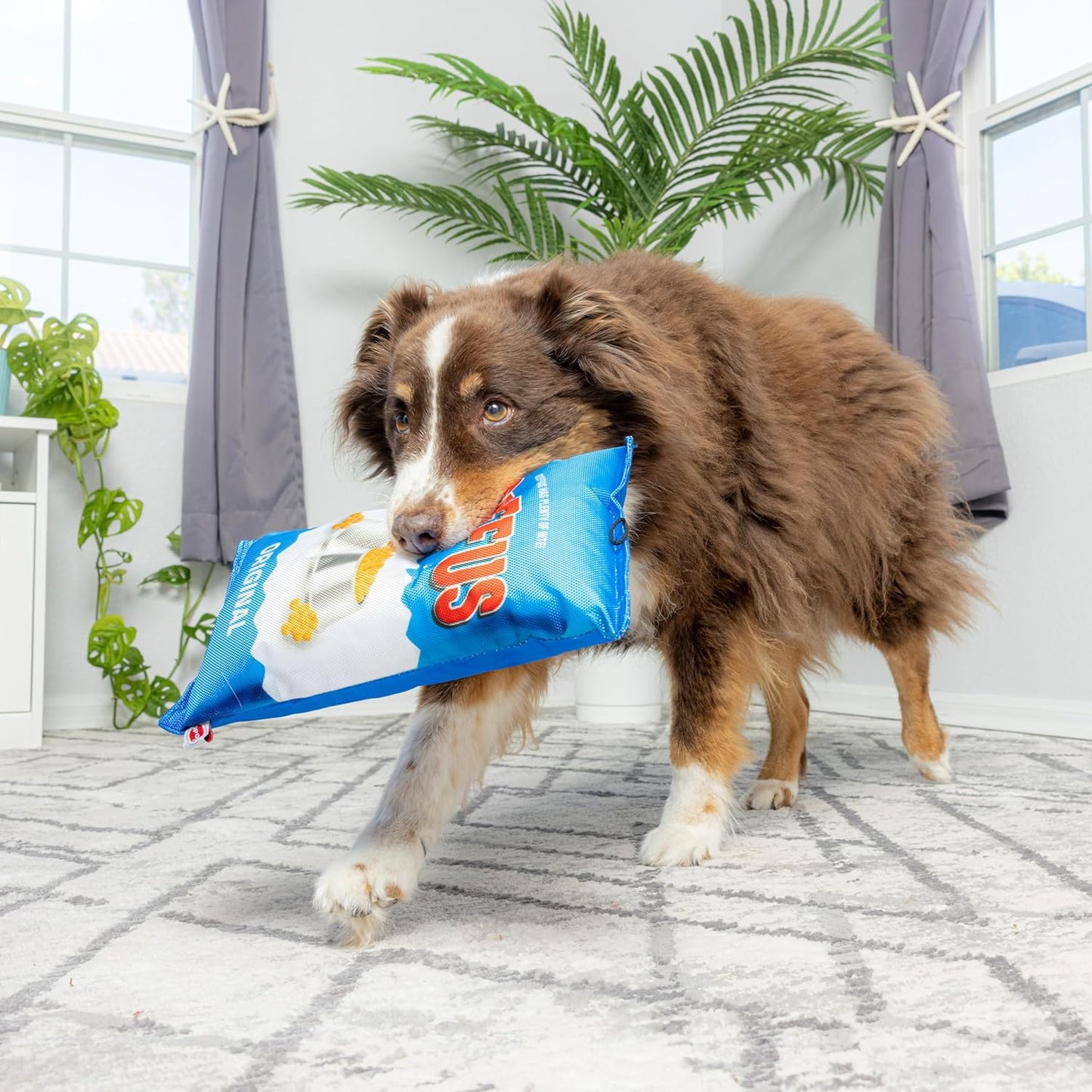 Spot Fun Food Ruffus Chips Plush Dog Toy