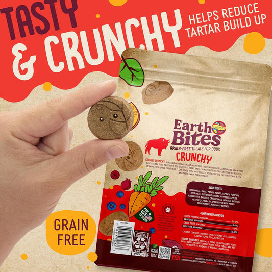 Earthborn Holistic EarthBites Bison & Pumpkin Grain-Free Crunchy Dog Treats - 10 oz