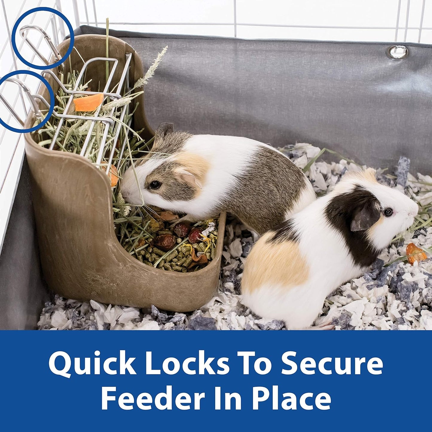 Kaytee Hay & Food Bin with Quick Locks Small Animal Feeder