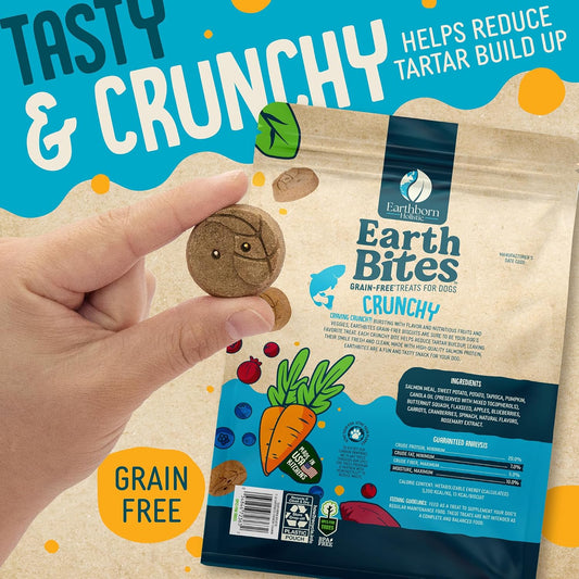 Earthborn Holistic EarthBars Salmon & Pumpkin Grain-Free Crunchy Dog Treats - 2 lbs